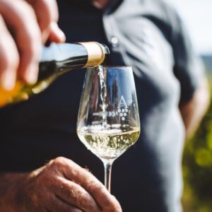 Vinsmagning