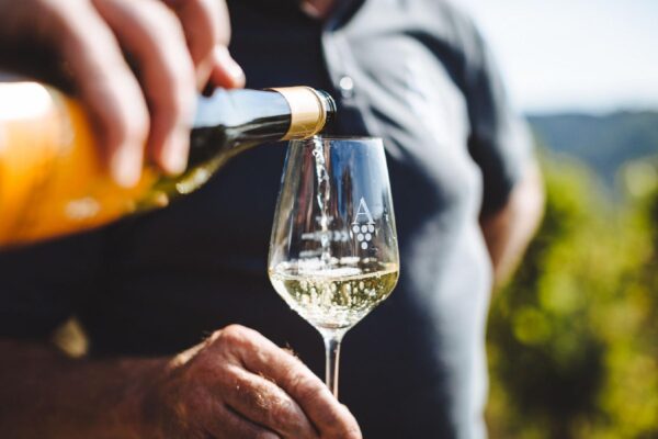 Vinsmagning